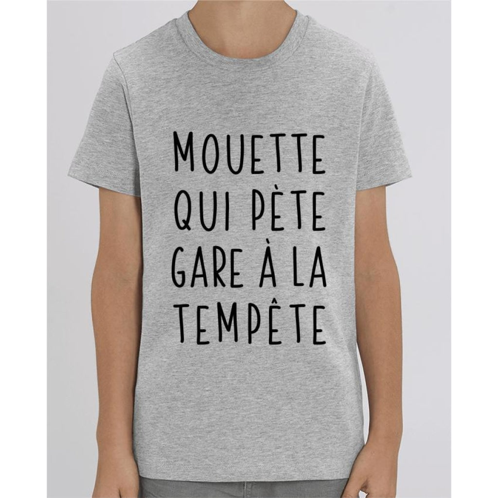 Tee Shirt Garçon - Mouette qui pète - Heather Grey / 3/4 ans - Enfant & Bébé>T-shirts